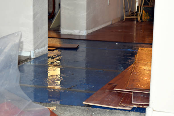 Professional Water Damage Restoration technician working in Pepeekeo, HI